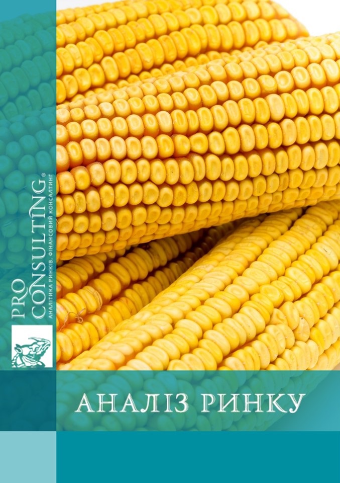 Аналіз ринку насіння кукурудзи в Україні. 2019 рік